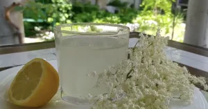 Квас із бузини в домашніх умовах: мій перевірений рецепт із ферментацією на 5 днів