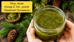 Ліки «від 100 хвороб», яким понад 2000 років! Стародавній оксимель для імунітету, від кашлю та сили організму