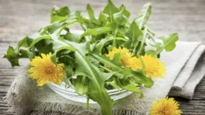 Щороку збираю 1 мішок листя кульбаби! “Аптека” під ногами: 3 прості рецепти, про які мало хто знає
