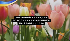 Що та коли сіяти і саджати у травні 2026: місячний посівний календар