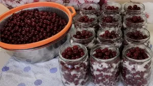Без варіння! Дуже люблю цей рецепт — вишня «Як свіжа» на зиму