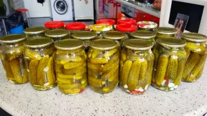 Без оцту, без окропу, без цукру! Холодний спосіб засолювання огірків — користуюся ним багато років