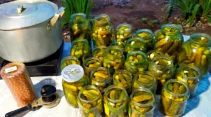 Рецепт дізналася від Свекрухи із Закарпаття — Хрумкі «Квашені огірочки» без оцту