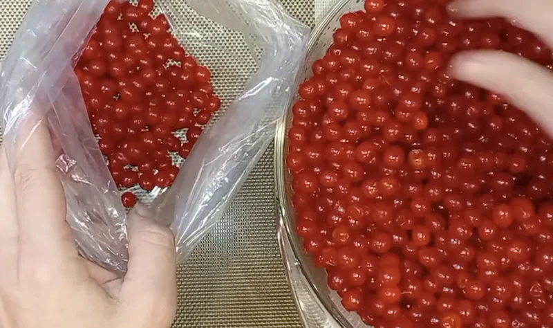 Калина на зиму цілими ягодами