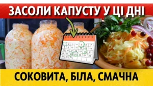 9 “золотих” днів для квашення капусти в листопаді 2026: дати за місячним календарем